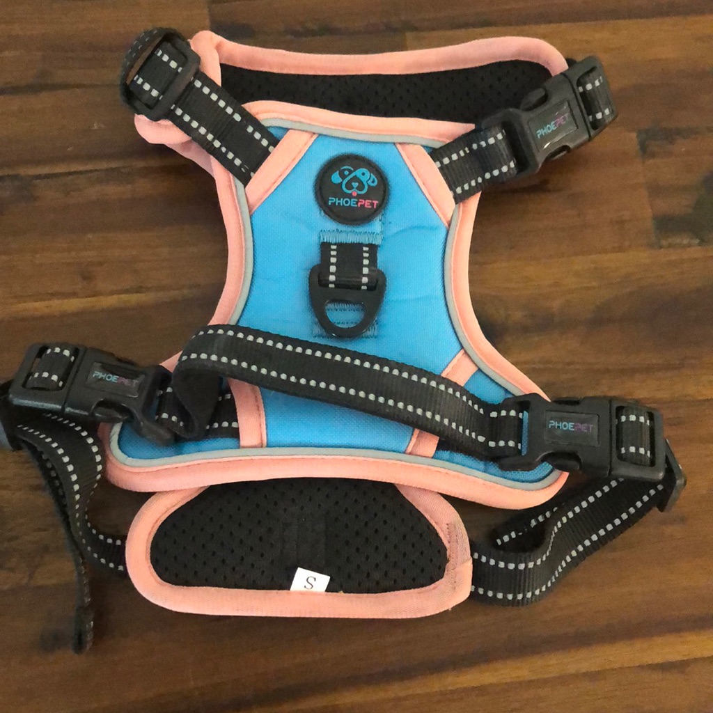 Dog Harness